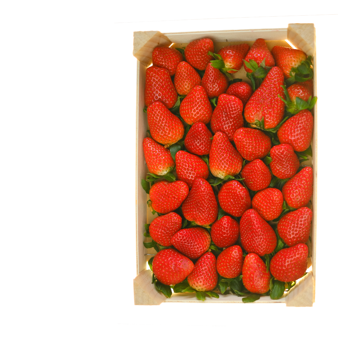 Frutilla Fresca (Caja 7 Kilos aprox.)