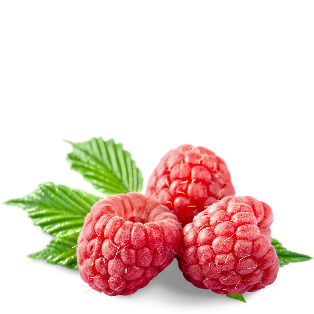 Frambuesa fresca (3 Kilos)