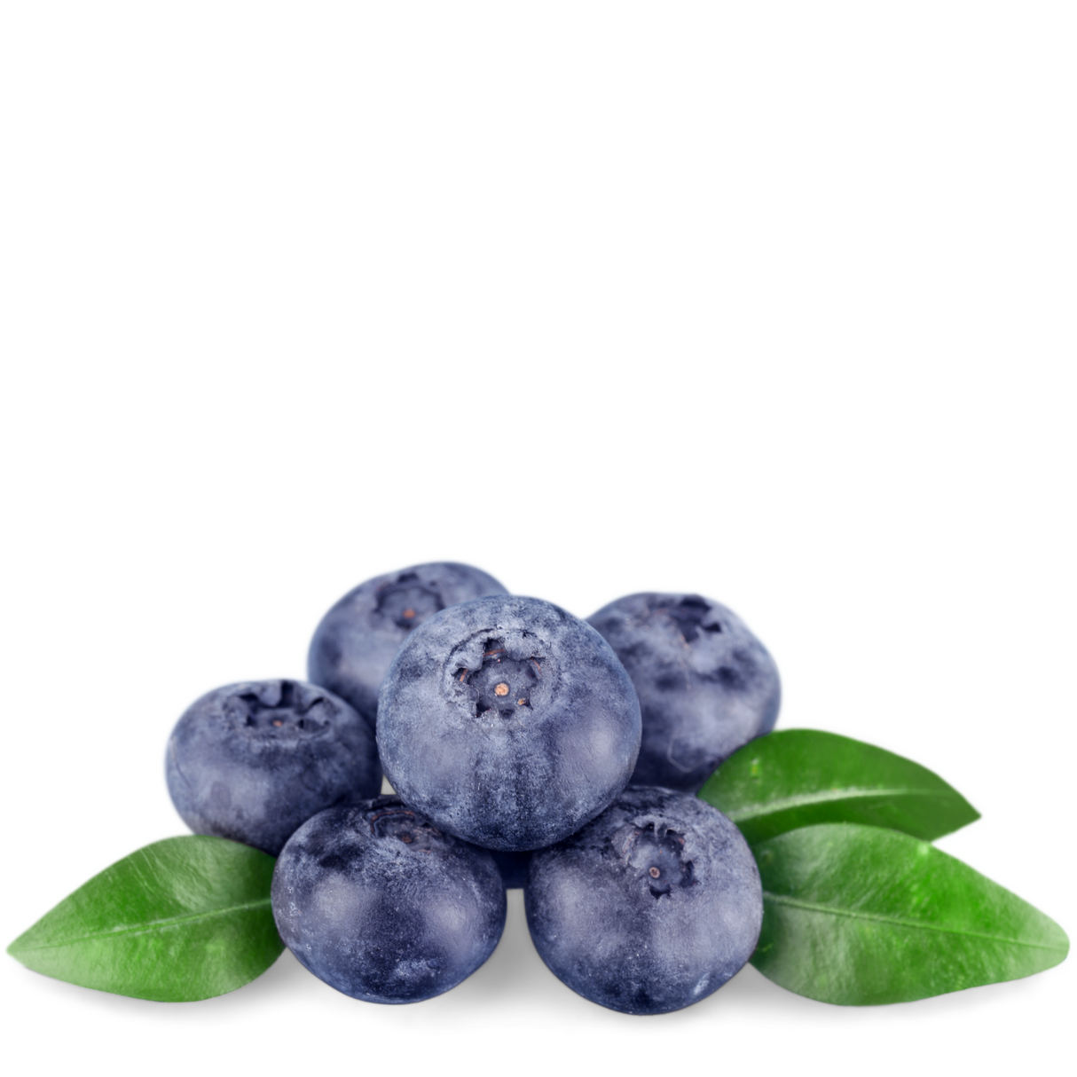 Arándano Fresco (Kilo)