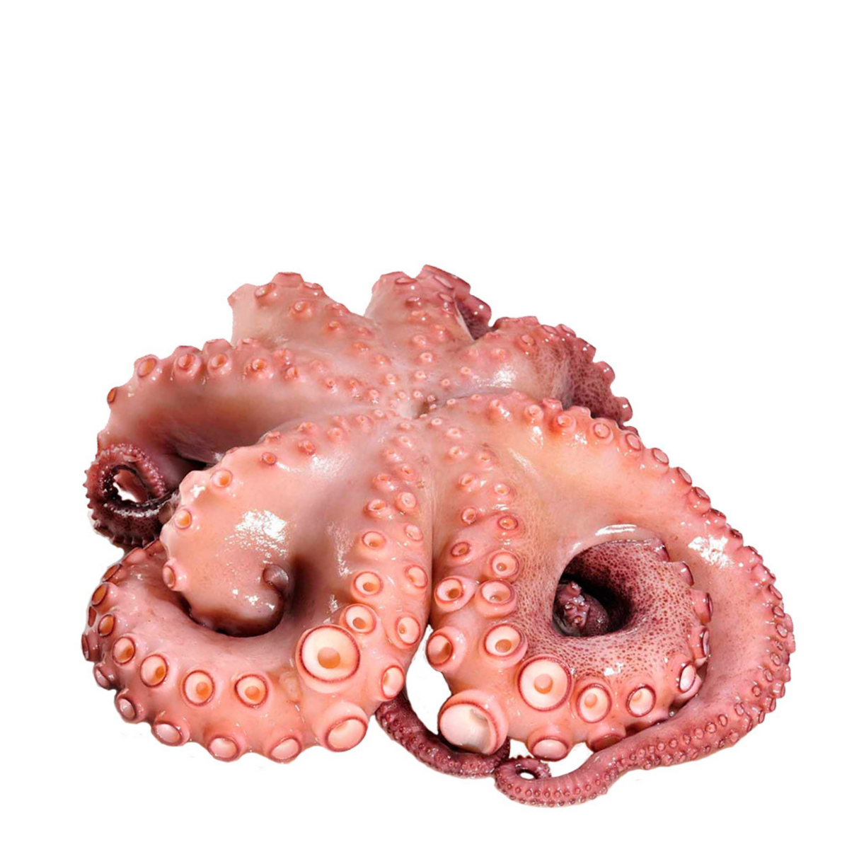 Pulpo (Kilo)