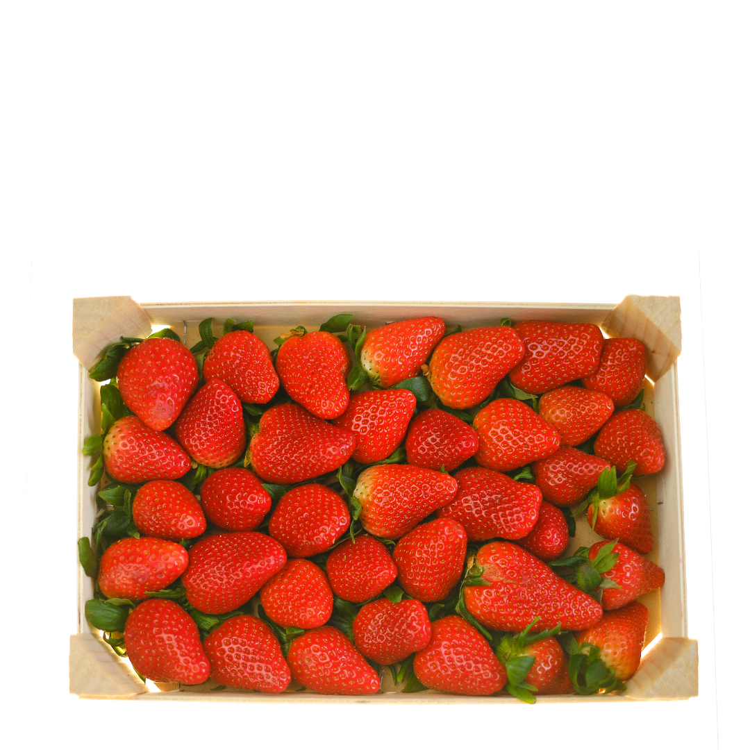 Frutilla Fresca (2 Kilos)
