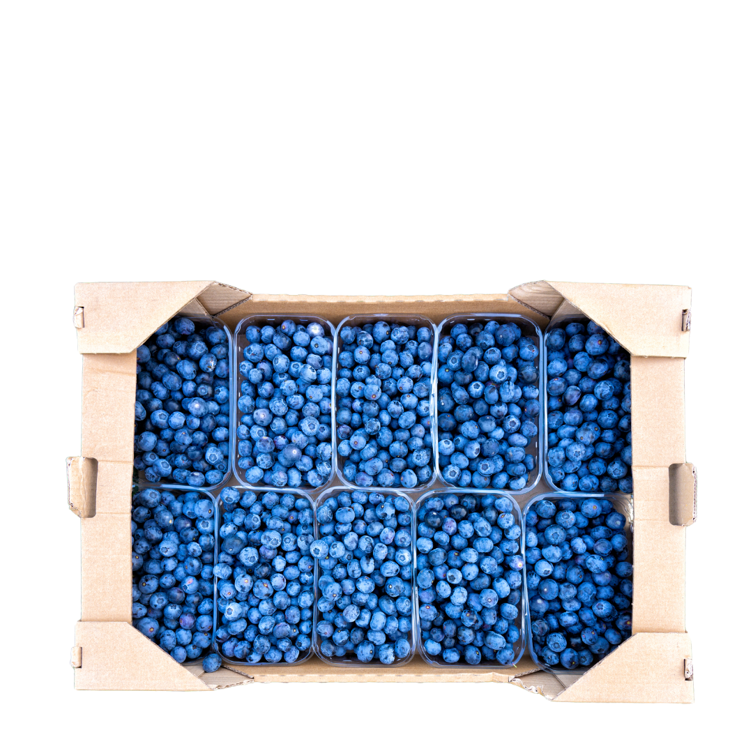 Arándanos Frescos (Caja 3 Kilos aprox.)