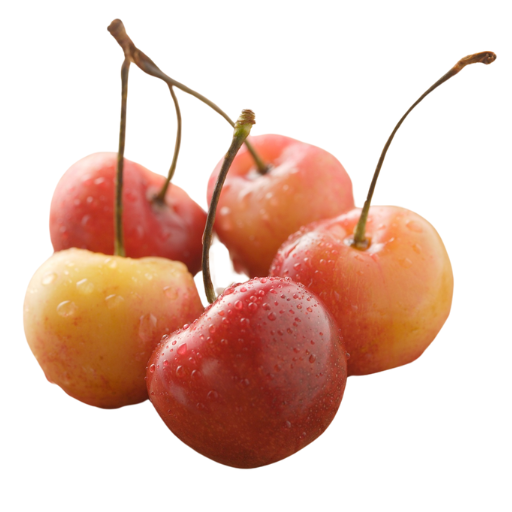 Cerezas Corazón del Paloma Reinier (Cajas 5 Kilos)