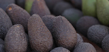 Palta Hass Chilena Premadura (3 kilos) $3.990