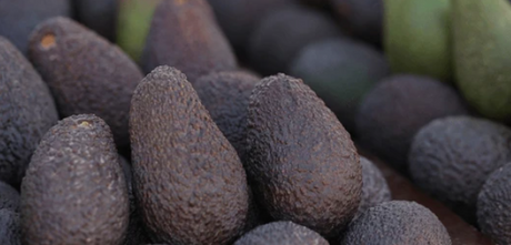 Palta Hass Chilena Premadura (3 kilos) $3.990