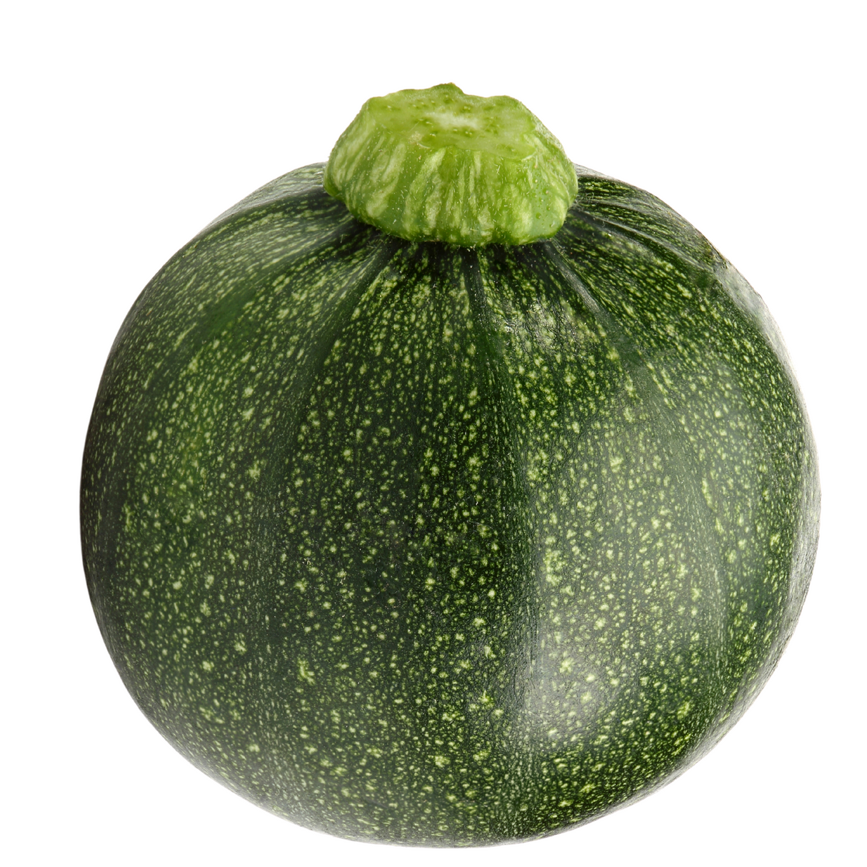 Zapallo Italiano Redondo (Unidad)