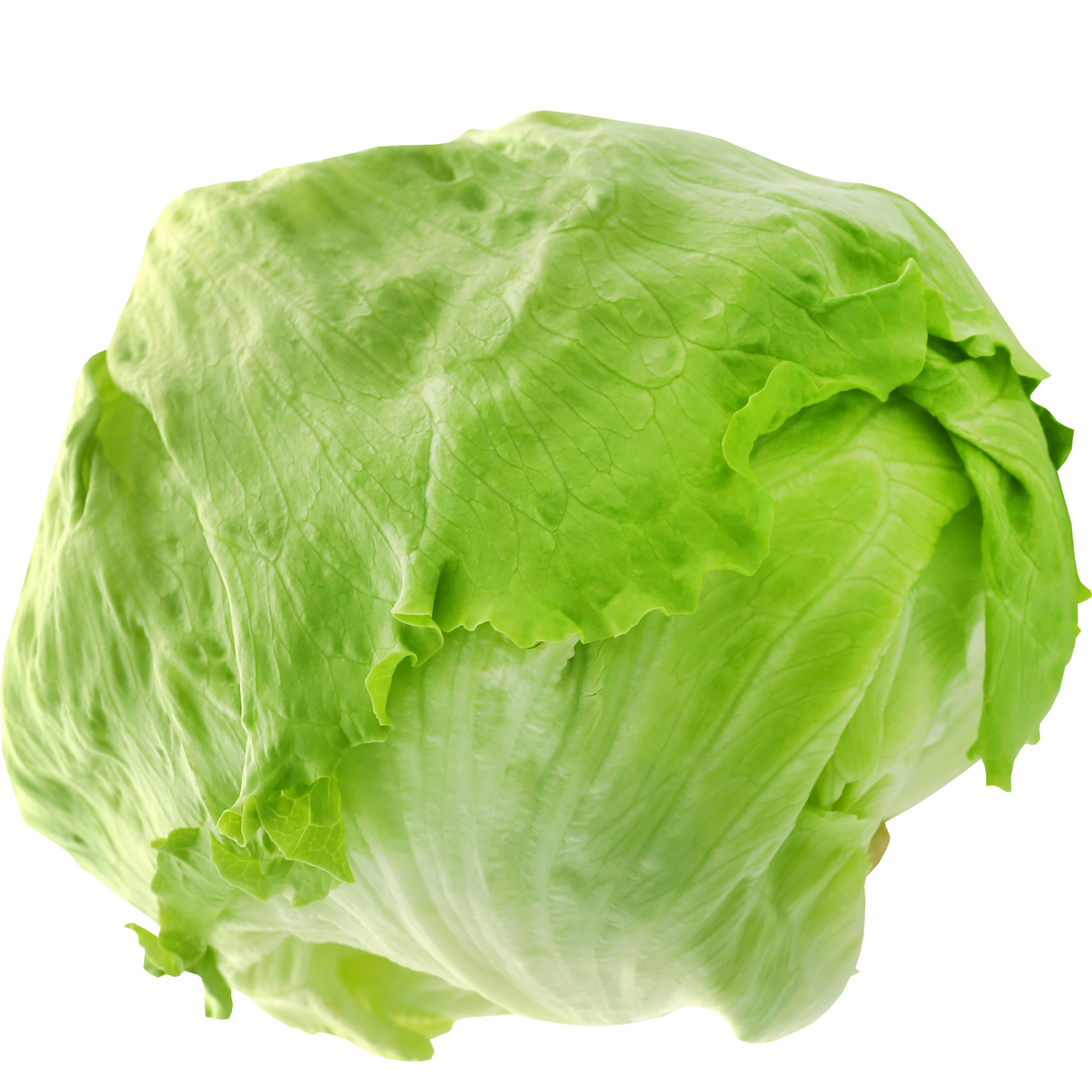 Lechuga Escarola (Unidad)