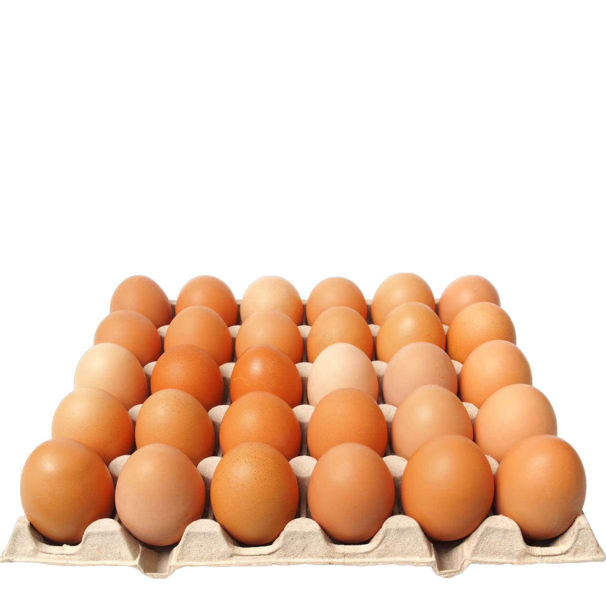 Huevos G. Libre Color Super Extra (Bandeja 20 Huevos)