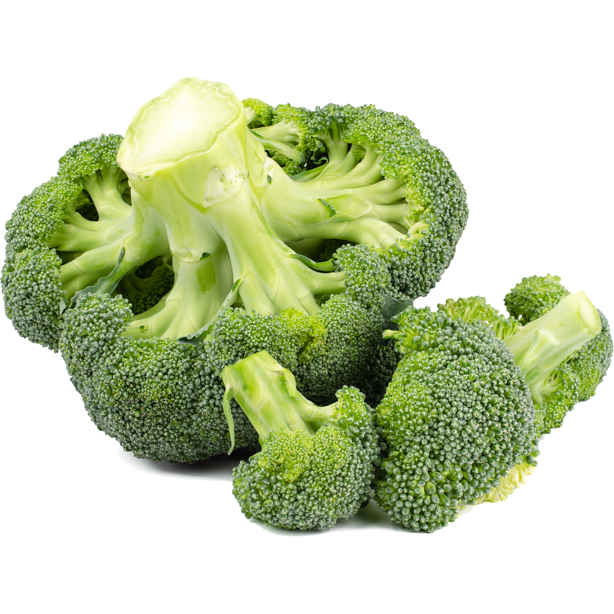Brocoli (Unidad)